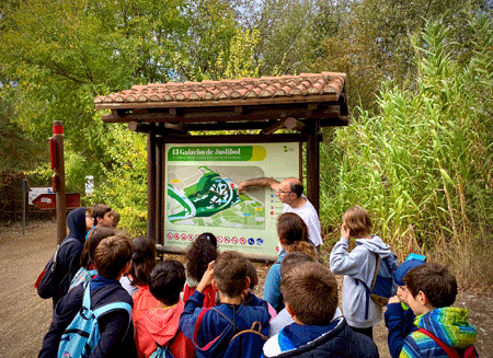 Pulsa para ver la imagen mas grande