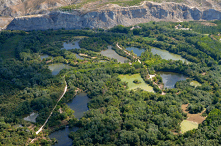 Pulsa para ver la imagen mas grande