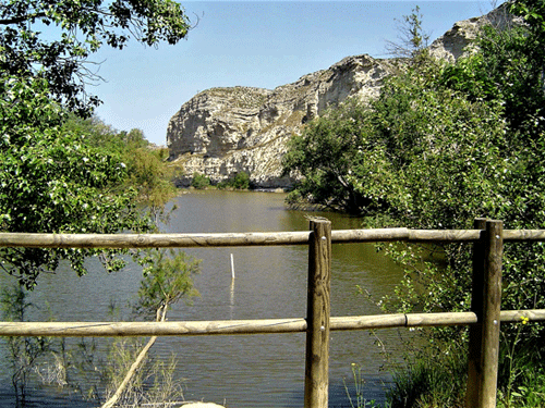 Pulsa para ver la imagen mas grande