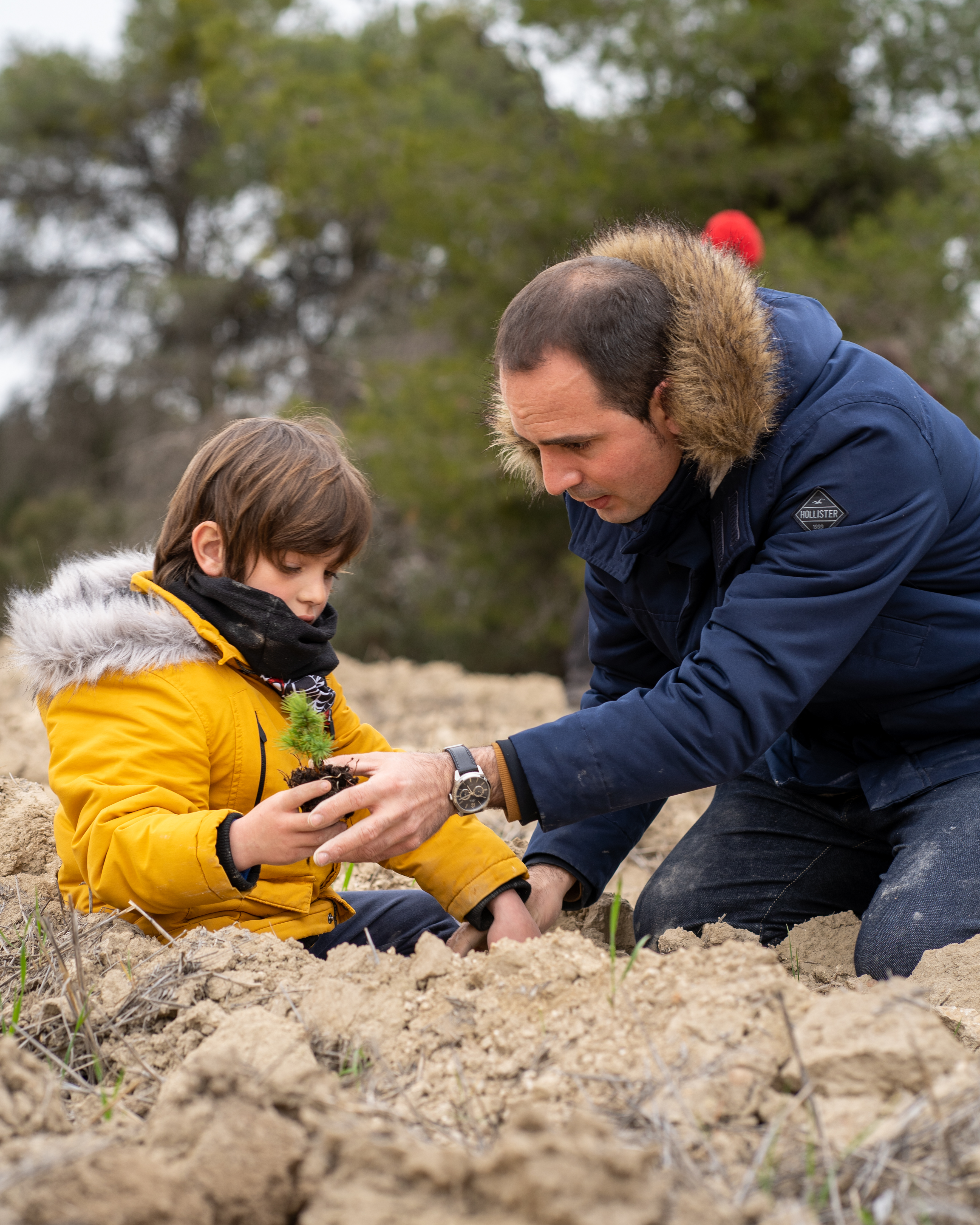Servicios Ecosistémicos