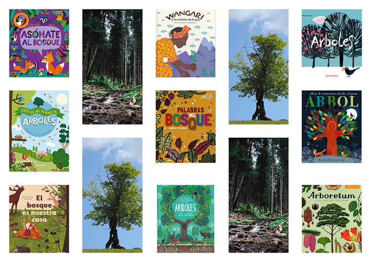 Portada de la publicacion