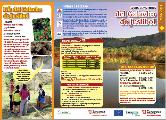 Programación Otoño