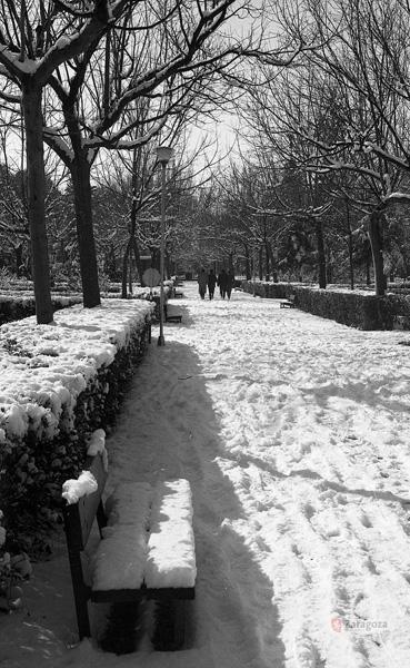 Nieve en el Parque
