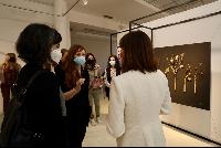 Imagen en alta resolución 7