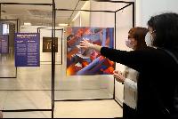 Imagen en alta resolución 1