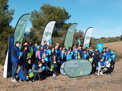 Bosque de los Zaragozanos 2