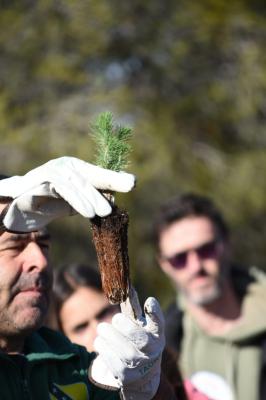 Bosque de los Zaragozanos 3