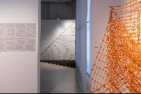 Imagen en alta resolución 3