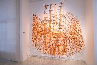 Imagen en alta resolución 7