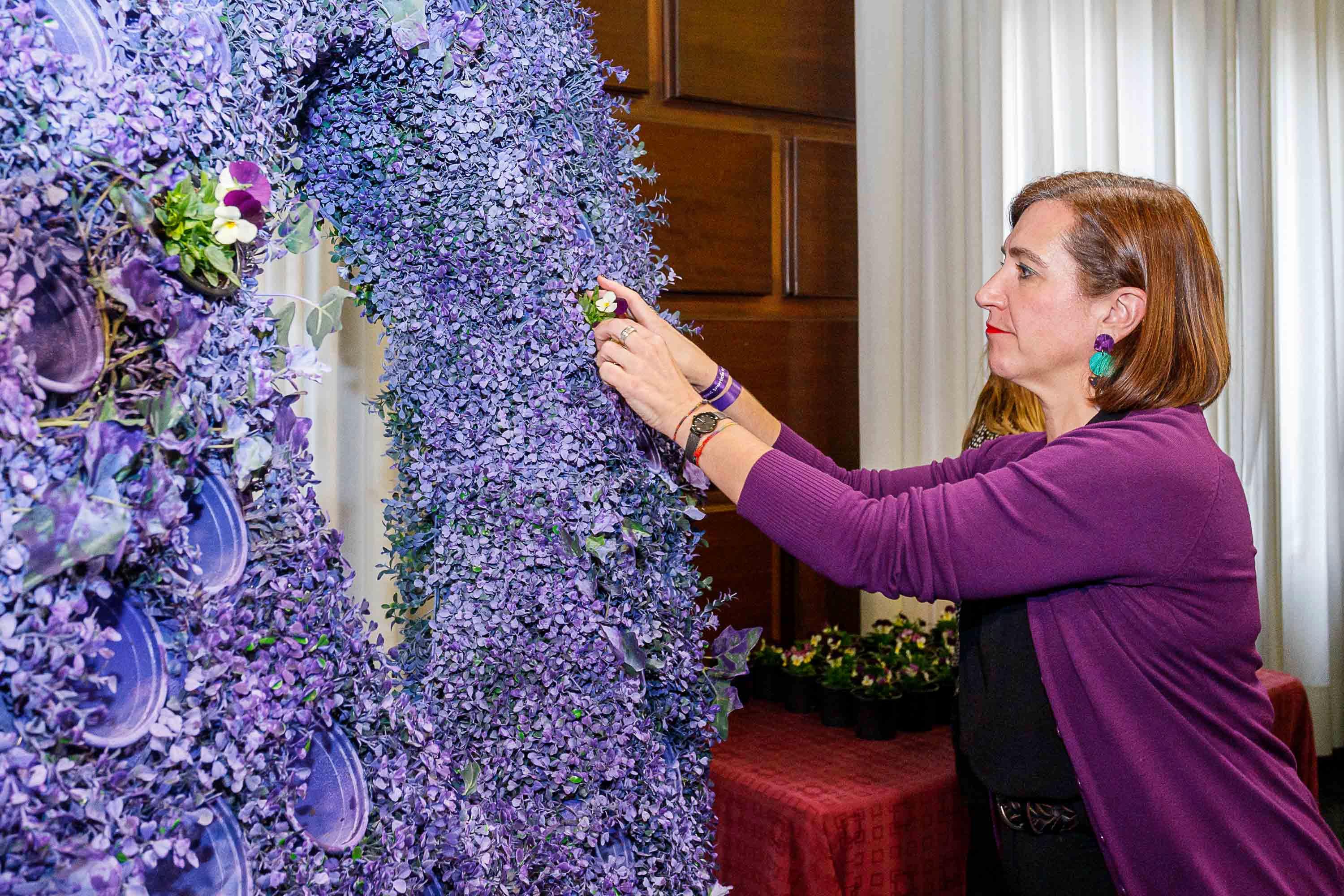 Pulsa para ver la imagen en grande