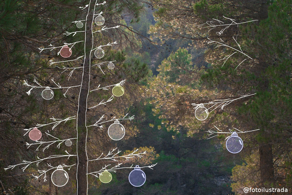 Pulsa para ver la imagen en grande