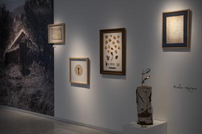 Exposición Asombrario 4