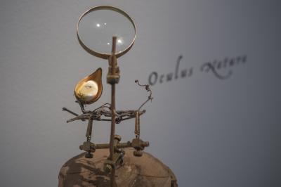 Exposición Asombrario 2