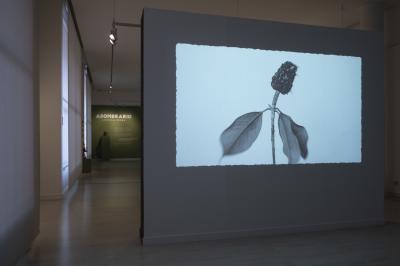 Exposición Asombrario 1