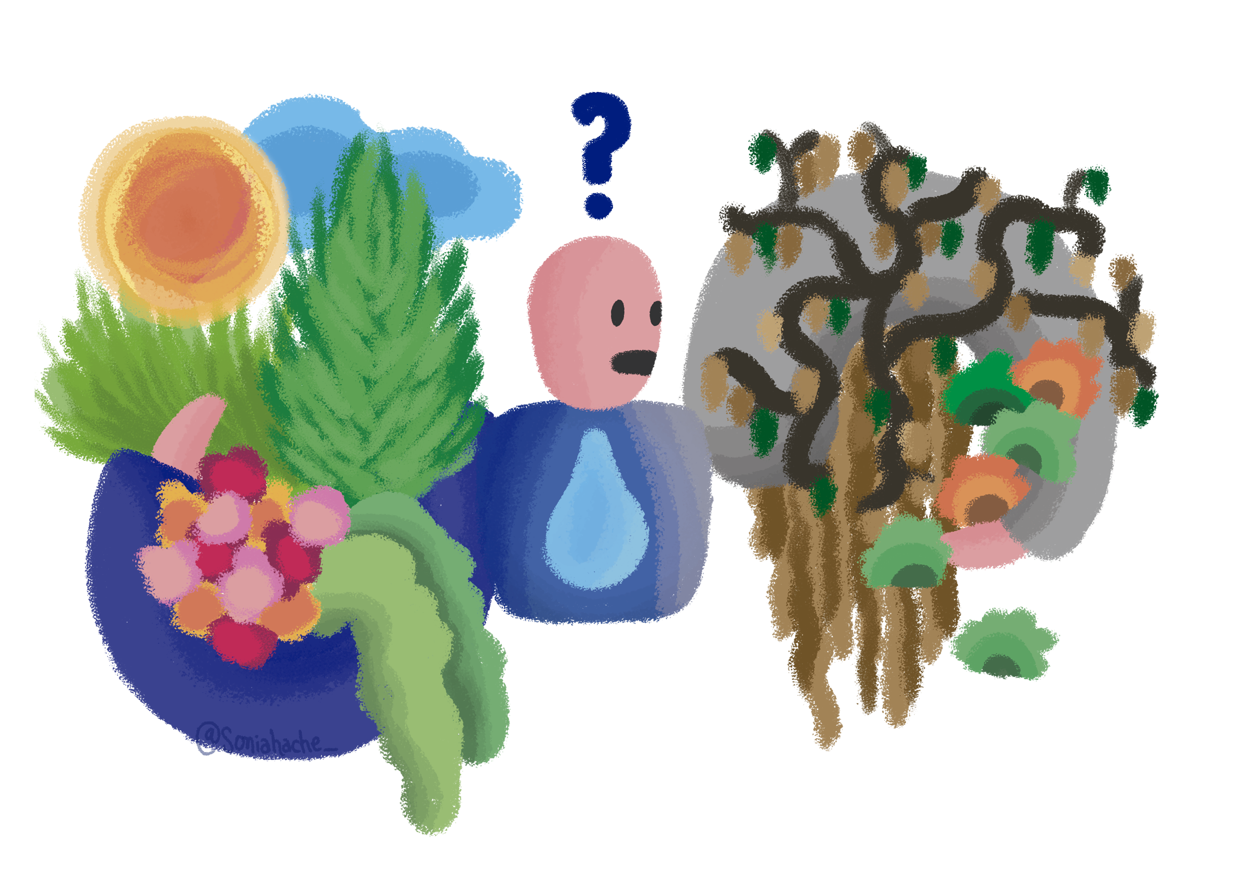 Pulsa para ver la imagen en grande