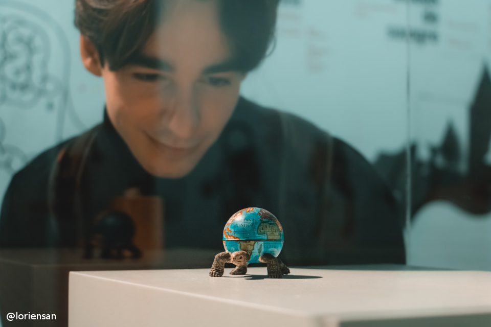 Pulsa para ver la imagen en grande