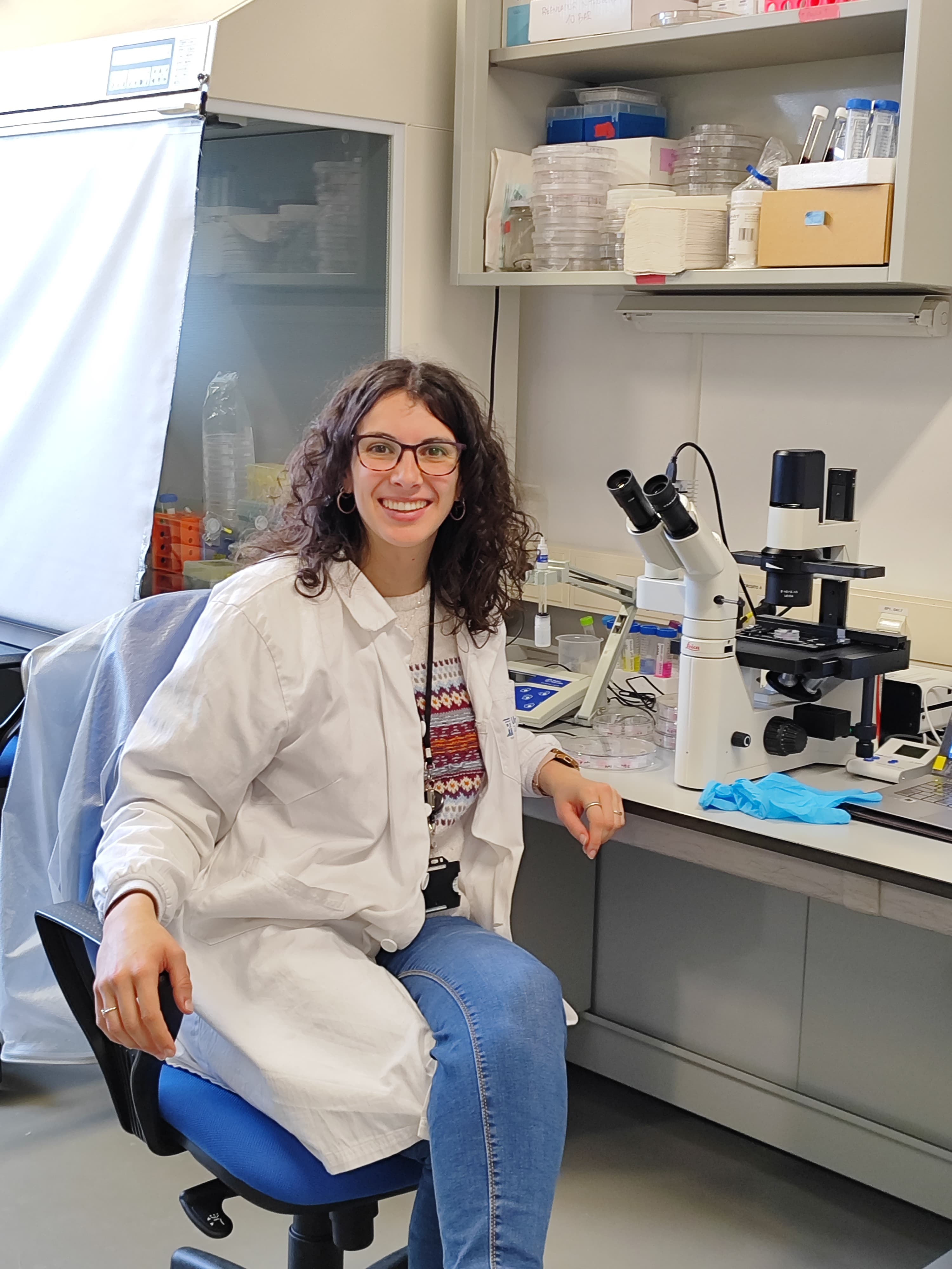 Pulsa para ver la imagen en grande