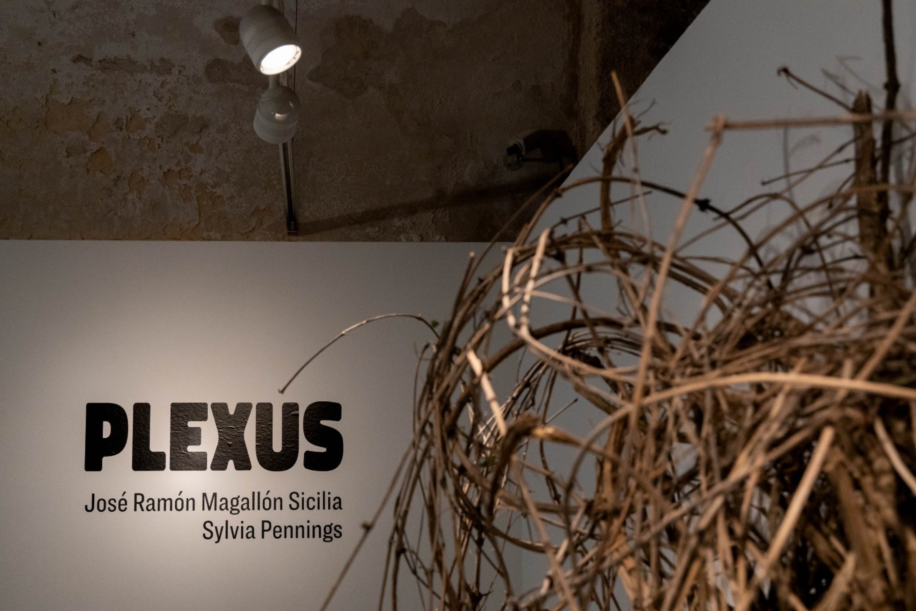 Pulsa para ver la imagen en grande