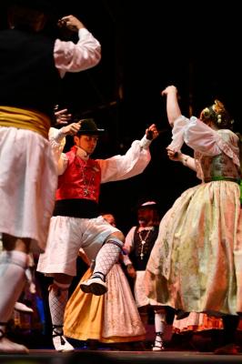 Muestra de folclore regional