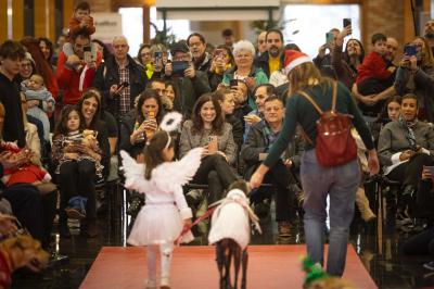 Fashion Pet Christmas 2025