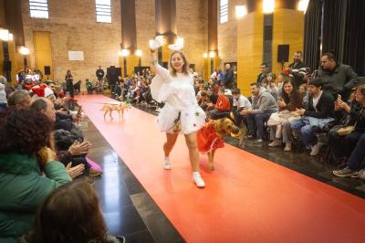 Fashion Pet Christmas 2025