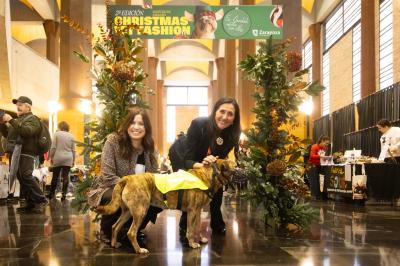 Fashion Pet Christmas 2025