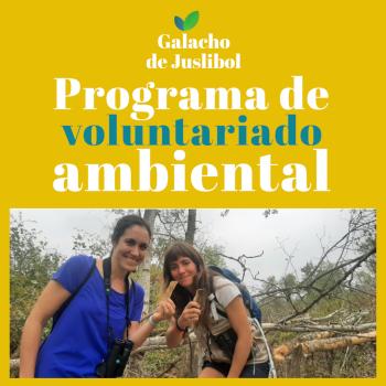 Pulsa para ver la imagen en grande