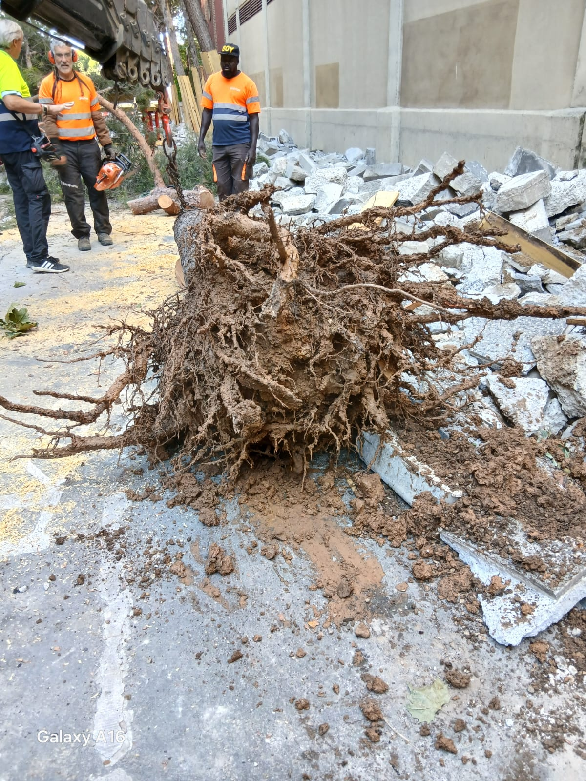 Pulsa para ver la imagen en grande