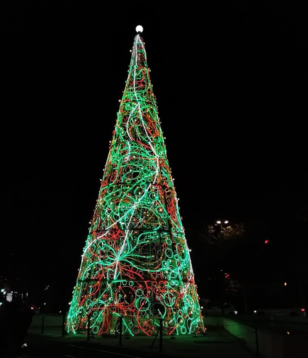 La Plaza Basilio Paraíso luce un nuevo árbol de Navidad. Noticia.  Ayuntamiento de Zaragoza