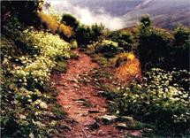 Pulsa para ver la imagen en grande