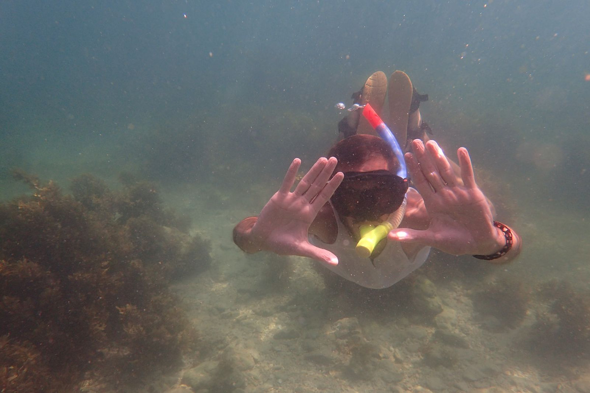 Pulsa para ver la imagen en grande