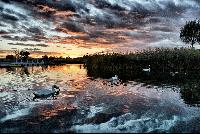 Imagen en alta resolución 1