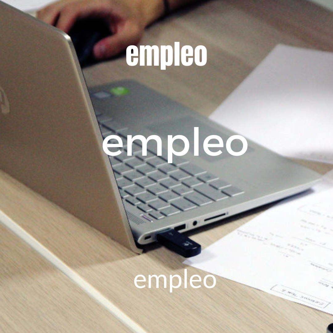 Universidades de verano