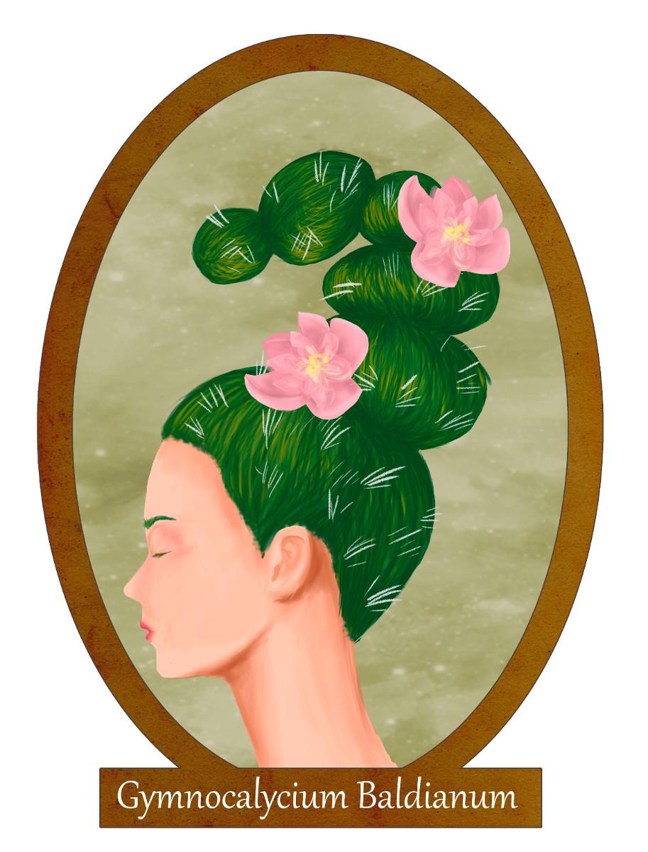 Pulsa para ver la imagen en grande