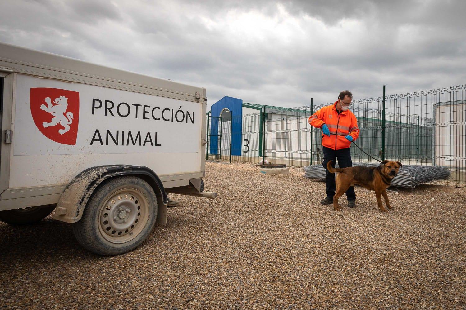 Comienza el traslado de los animales de Peñaflor al nuevo Centro Municipal  de Protección Animal. Noticia. Ayuntamiento de Zaragoza