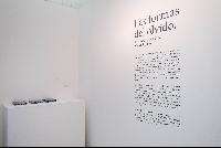 Imagen en alta resolución 1