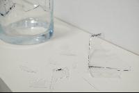 Imagen en alta resolución 4