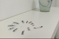 Imagen en alta resolución 11