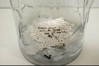 Imagen en alta resolución 18