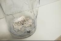 Imagen en alta resolución 19