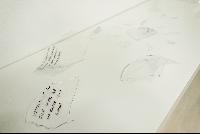 Imagen en alta resolución 31