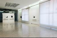 Imagen en alta resolución 39