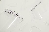 Imagen en alta resolución 42