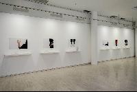 Imagen en alta resolución 43