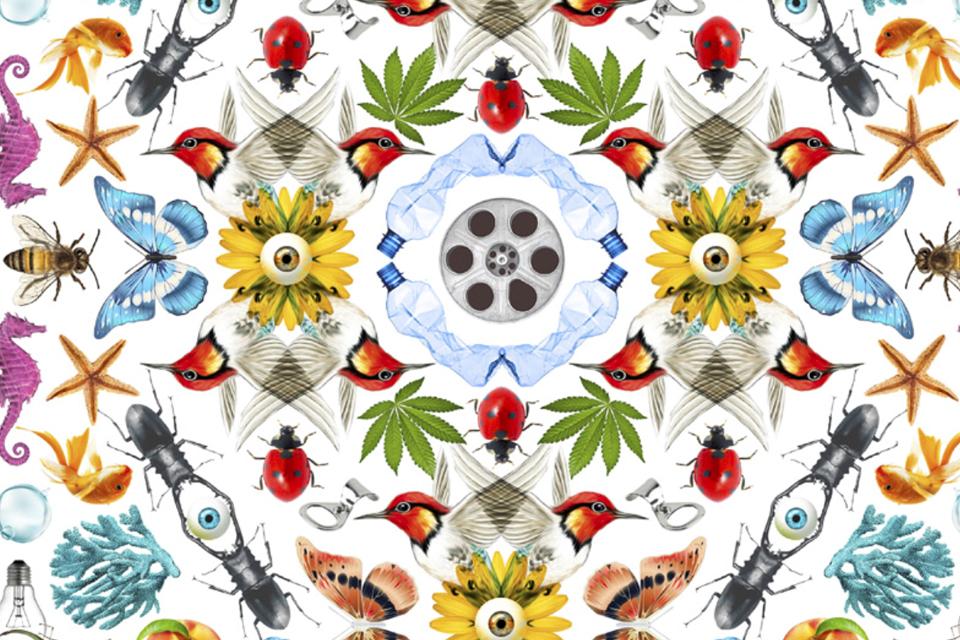 Pulsa para ver la imagen en grande