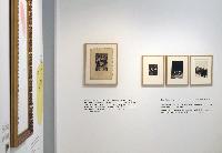 Imagen en alta resolución 1