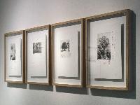 Imagen en alta resolución 11