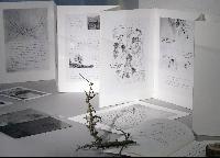 Imagen en alta resolución 12