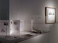 Imagen en alta resolución 13