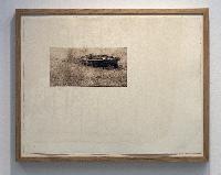 Imagen en alta resolución 17